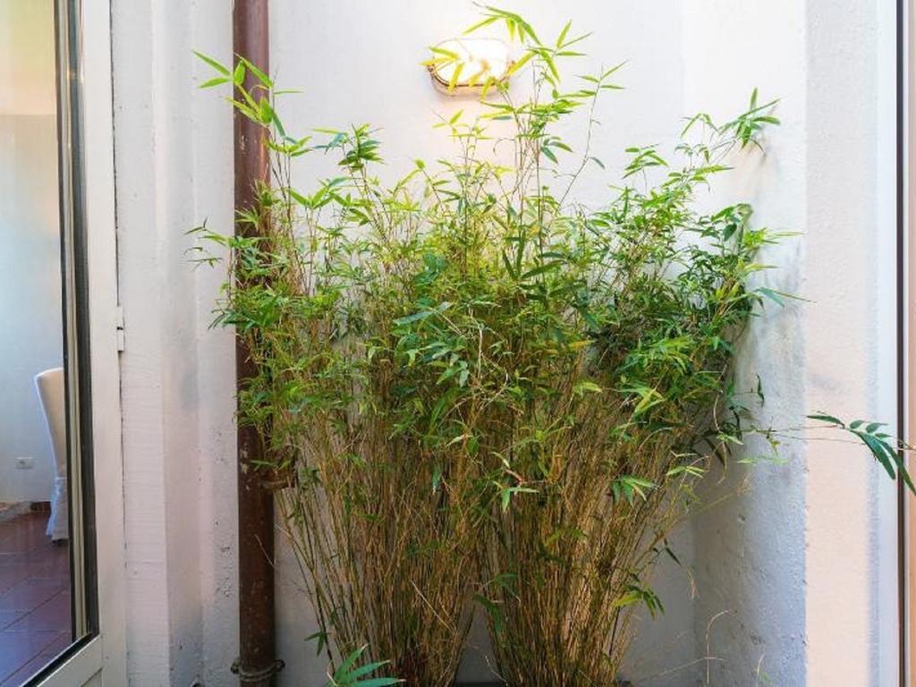 Garibaldi Roof Garden Apartment Rome Exterior photo